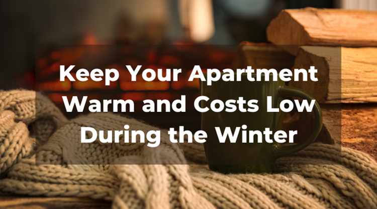 How to Keep Your Apartment Warm and Costs Low During the Winter