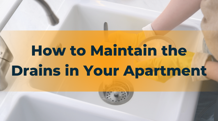 How to Maintain the Drains in Your Apartment