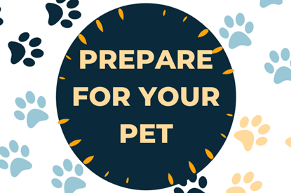 Prepare For Your Pet