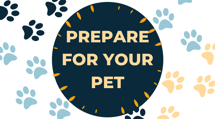 Prepare For Your Pet