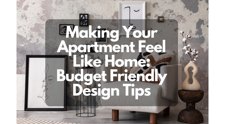 Making your Apartment Feel Like Home: Budget Friendly Design Tips